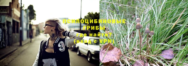бошки Заволжье