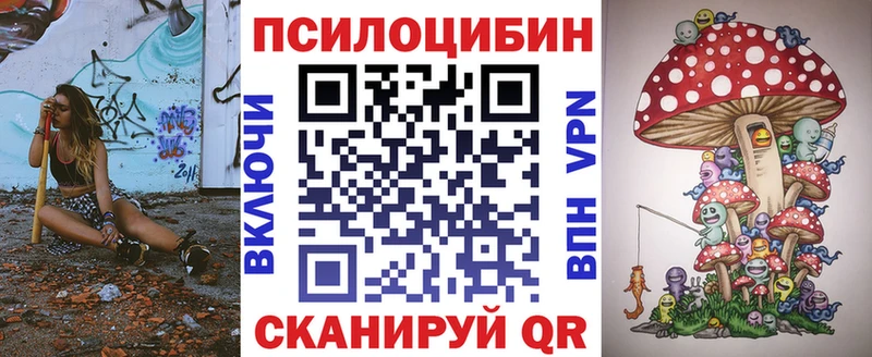 Купить  Камызяк  Галлюциногенные грибы GOLDEN TEACHER 